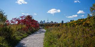 Textual study of the Don river valley - 2022 best Textual study of the Don river valley
