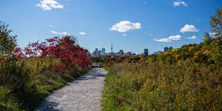 Textual study of the Don river valley