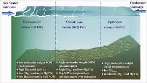 Estuary Sediment Characterization