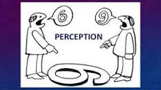 A picture of perception
