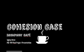 Cohesion Case Project