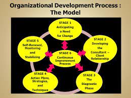 Organizational development change process