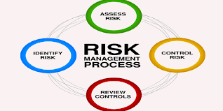 Risk management process