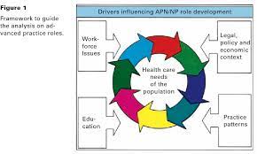 Roles in Advanced Practice Nursing.