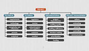 Understanding risk management