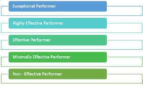 performance appraisal ratings.