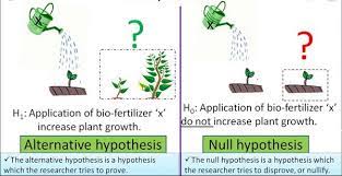 Alternative and null hypothesis