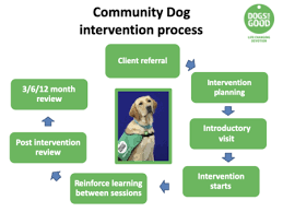 Animal Assisted Interventions.