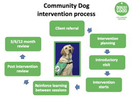 Animal Assisted Interventions. 2022 Best Animal Assisted Interventions.