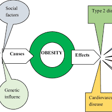 Cause and effect of child obesity.