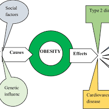 Cause and effect of child obesity. 2022 Best Cause and effect of child obesity.