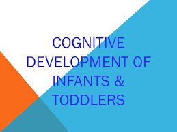 Cognitive development of infants