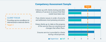 Competency self assessment.