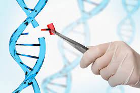 Gene Editing Technology