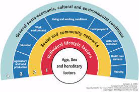 Heath disparities and inequalities. 2022 Best Heath disparities and inequalities.
