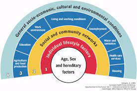 Heath disparities and inequalities.