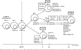 History of leukemia.