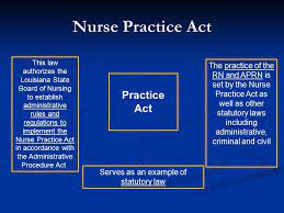 Louisiana nursing practice act