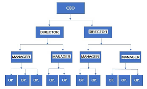 Organizational Structure and Human Agency.