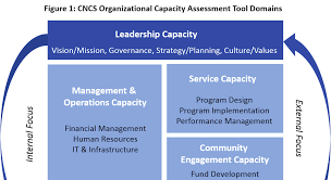 Organizational capacity assessment.
