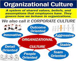 Organization's culture and values. 2022 Best Organization's culture and values.