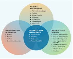 Performance management assessment