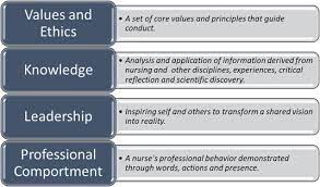 principles of professional identity 2022 Best Principles of professional identity