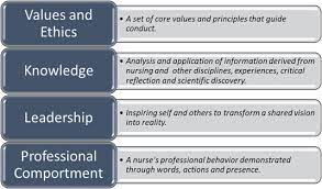 Principles of professional identity