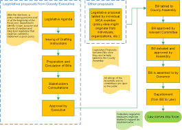 The legislative process