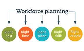 Workforce planning strategies