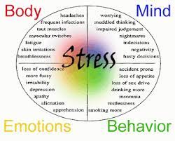 stress management plans