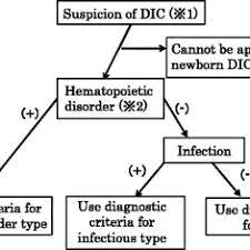 Applying Diagnostic Criteria