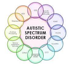 Researching Autism Spectrum Disorder