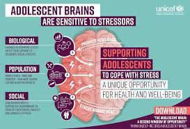Brain development in Adolescent.
