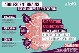 Brain development in Adolescent. 2022 Best Brain development in Adolescent.