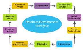 Database Application Development.