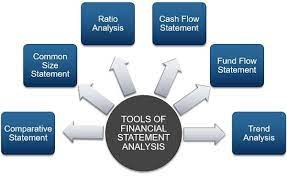 Financial Statements Briefing and Analysis.