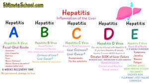 Five types of Hepatitis