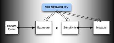 Hazard and Vulnerability Assessment