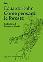 How Forests Think 2022 Best How Forests Think