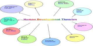Human development theories.