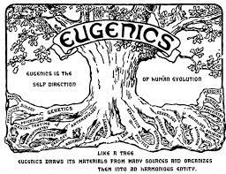 Human genetics and eugenics