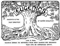 Human genetics and eugenics 2022 Best Human genetics and eugenics