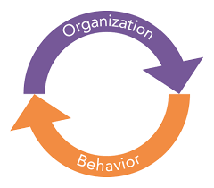 Organizational Behavior Observation.