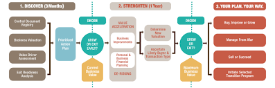 Potential value-enhancing strategies