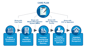 Preliminary Care Coordination Plan. 