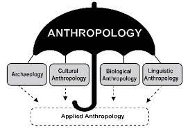 Anthropological concepts.