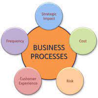 Business Process Consultant