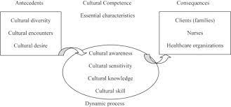 Cultural Competency and Research Analysis 