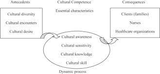 Cultural Competency and Research Analysis 2022 Best Cultural Competency and Research AnalysisÂ